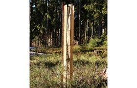 Lattis bois - protection d'arbre 1.2 - 10 m